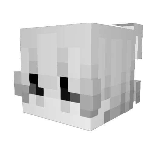 nwtty Minecraft avatar head, 3D render