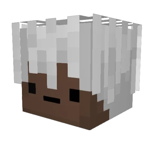 nxahx Minecraft avatar head, 3D render