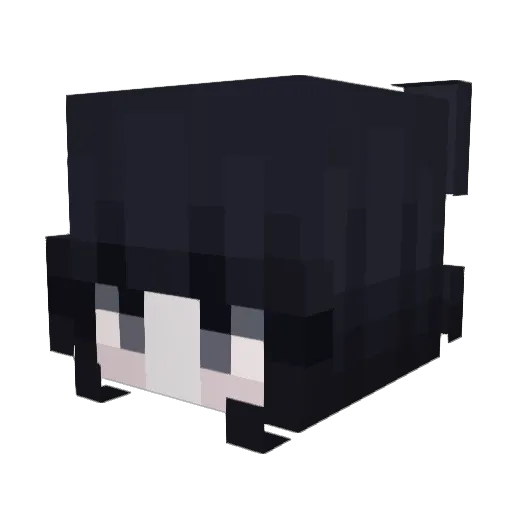 nxanlz Minecraft avatar head, 3D render
