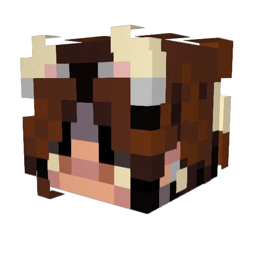 nxb1ha Minecraft avatar head, 3D render