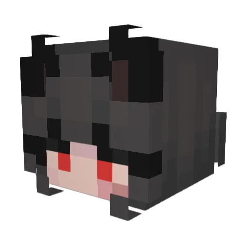 nxd6 Minecraft avatar head, 3D render
