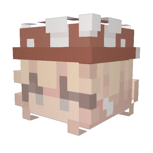 nxghtmxre2234 Minecraft avatar head, 3D render