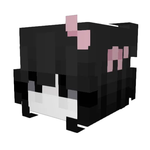 nxhyaa Minecraft avatar head, 3D render