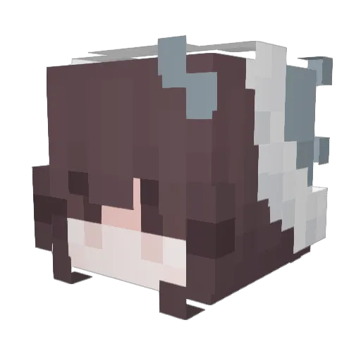 nxrthsss Minecraft avatar head, 3D render
