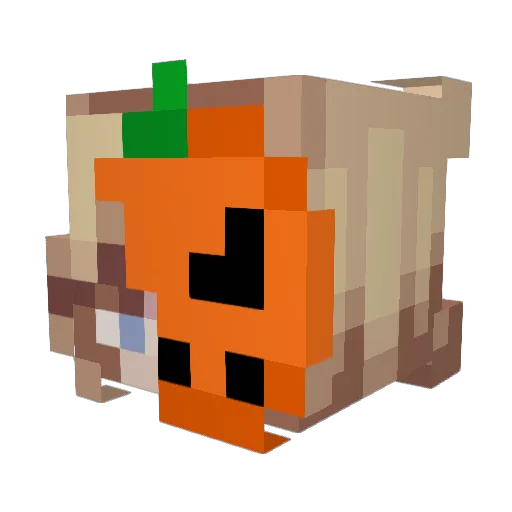 nxt_ally Minecraft avatar head, 3D render