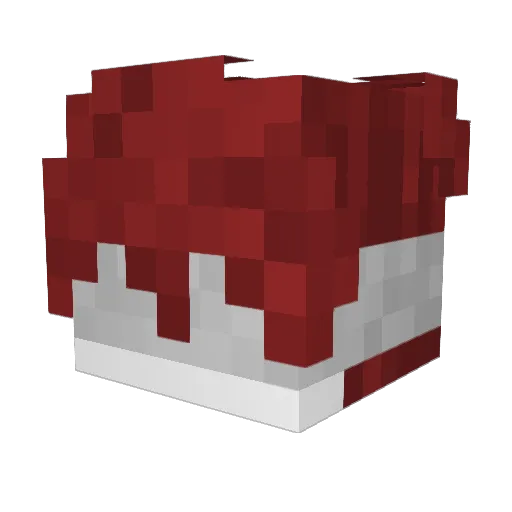 nxtdani0 Minecraft avatar head, 3D render