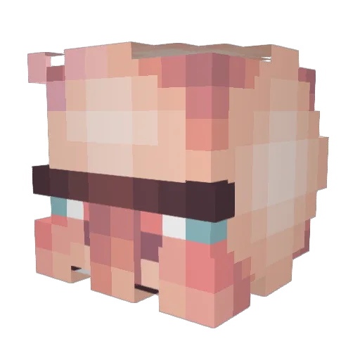 nxte3358 Minecraft avatar head, 3D render