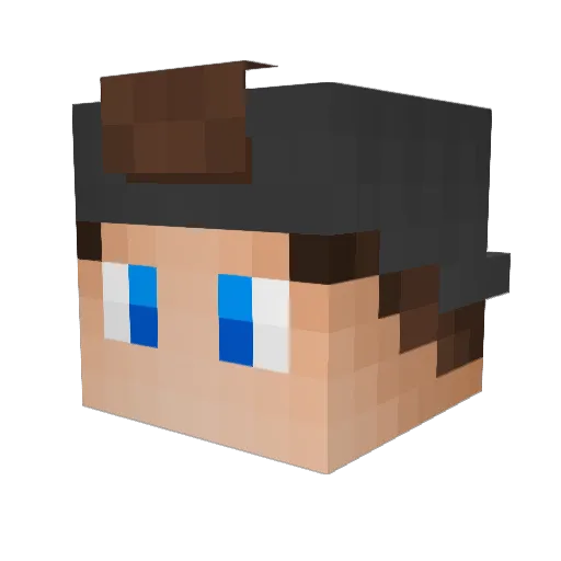 nxtflowz_ Minecraft avatar head, 3D render
