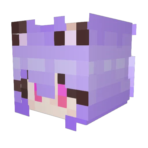 nxth666 Minecraft avatar head, 3D render