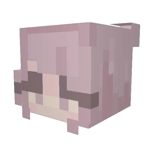 nxtscho Minecraft avatar head, 3D render