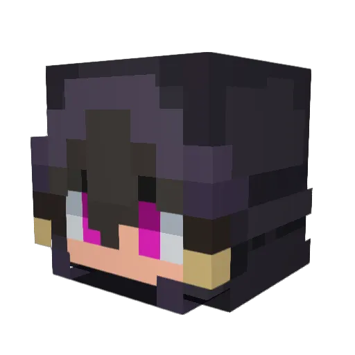 nxxt_lvvl Minecraft avatar head, 3D render