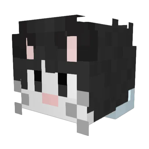 nya_cyan Minecraft avatar head, 3D render