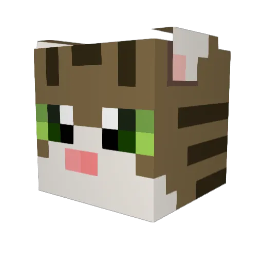 nya_ong2 Minecraft avatar head, 3D render