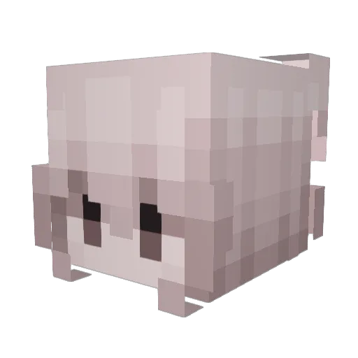 nyacifier Minecraft avatar head, 3D render