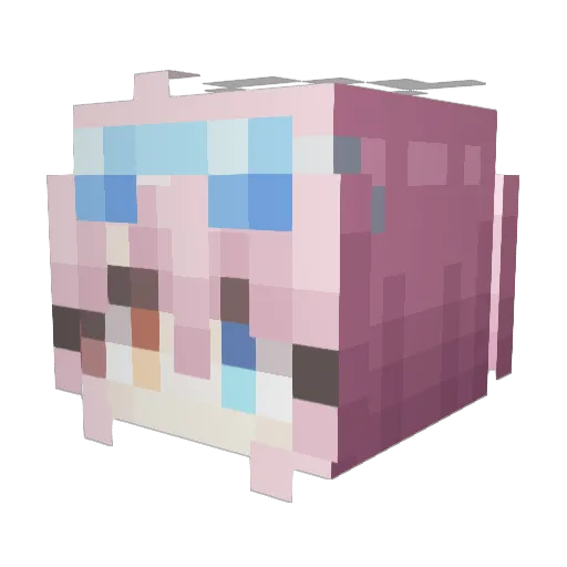 nyaelbabichbo Minecraft avatar head, 3D render