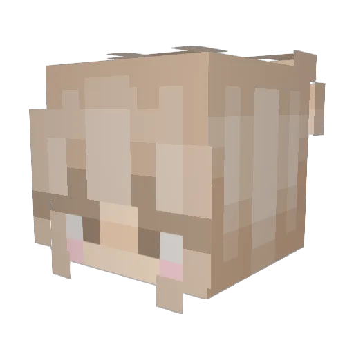 nyaeoi Minecraft avatar head, 3D render