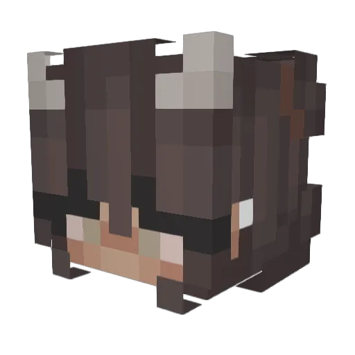 nyahbook Minecraft avatar head, 3D render