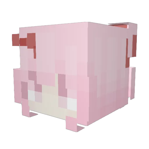 nyaire_ Minecraft avatar head, 3D render