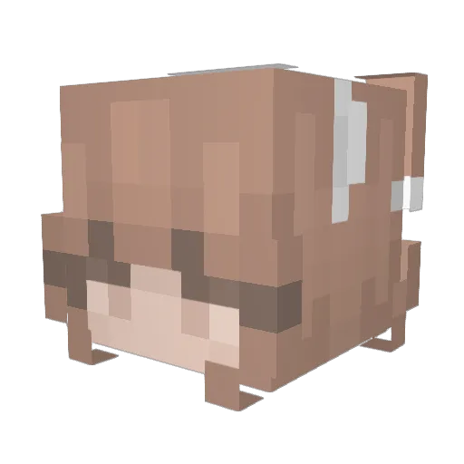 nyamuniv Minecraft avatar head, 3D render