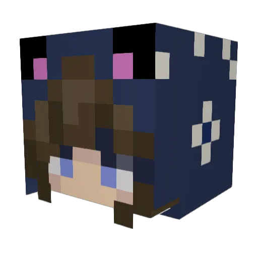 nyan5 Minecraft avatar head, 3D render
