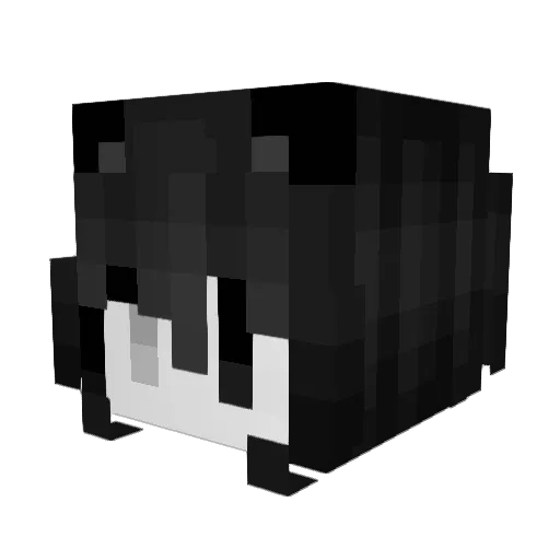 nyancat4 Minecraft avatar head, 3D render