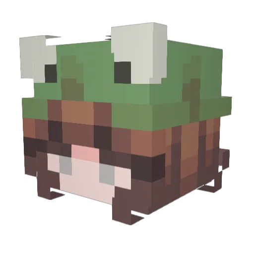 nyancat832 Minecraft avatar head, 3D render