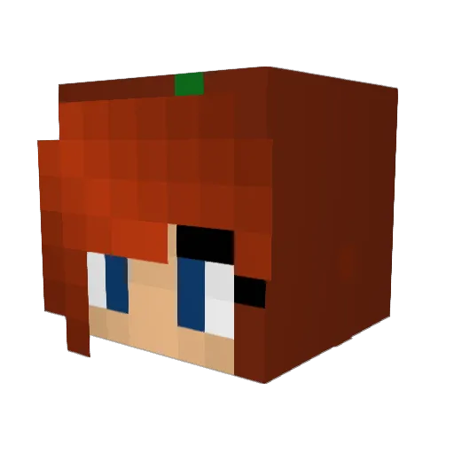 nyancatno Minecraft avatar head, 3D render