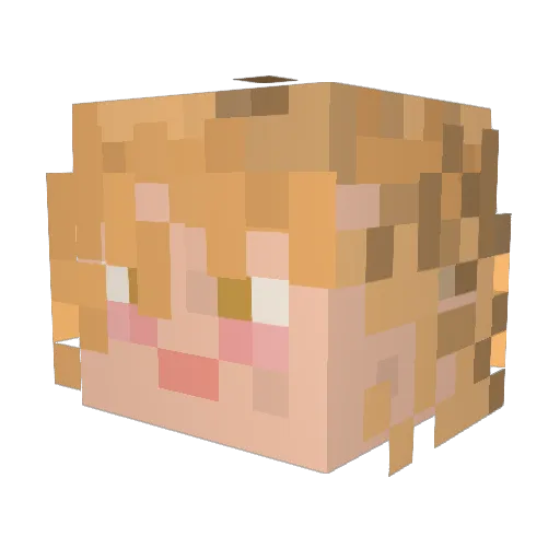 nyancomesi Minecraft avatar head, 3D render