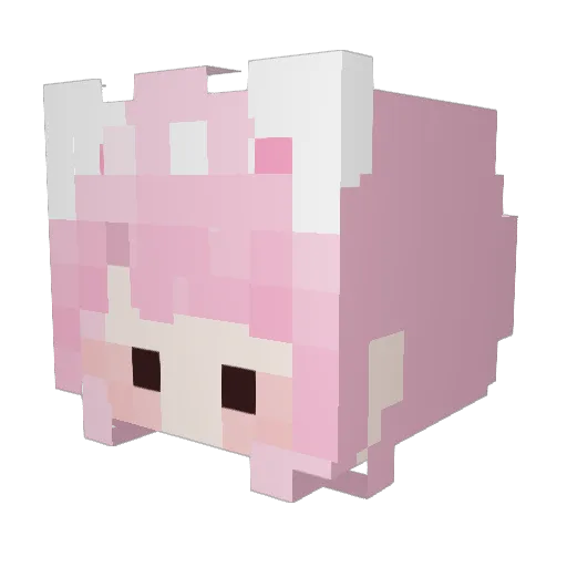 nyang_sole Minecraft avatar head, 3D render