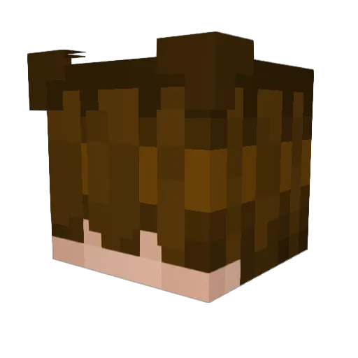 nyanpixel Minecraft avatar head, 3D render
