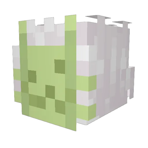 nyavilov Minecraft avatar head, 3D render