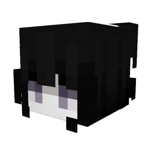 nyb Minecraft avatar head, 3D render
