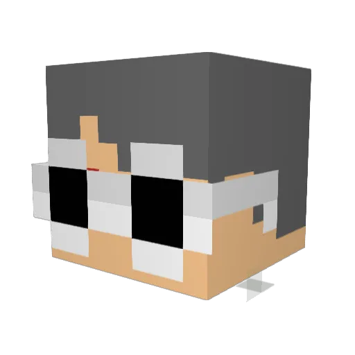 nycolas_exe Minecraft avatar head, 3D render