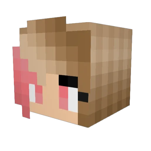 nycos775 Minecraft avatar head, 3D render