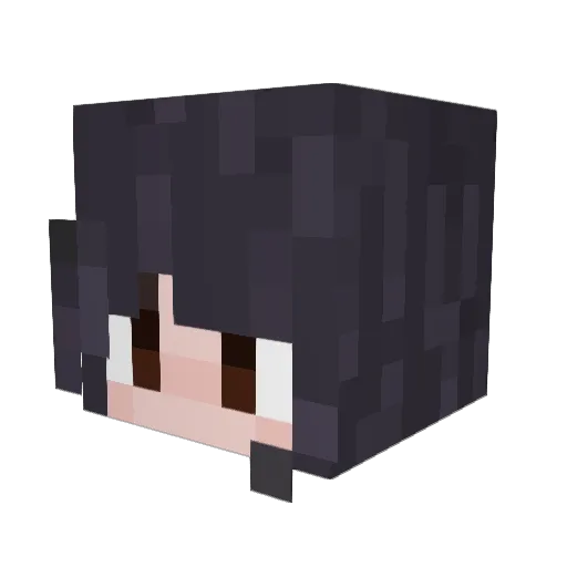 nycto_phobia4 Minecraft avatar head, 3D render