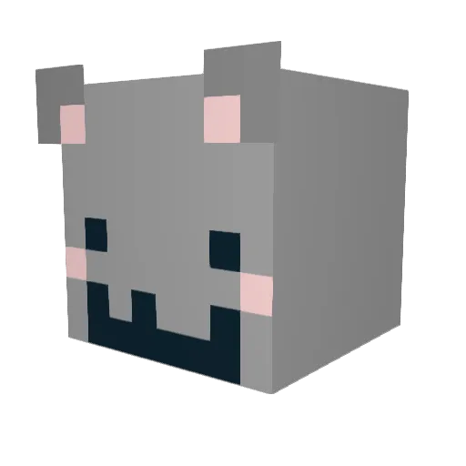 nyctophibian Minecraft avatar head, 3D render