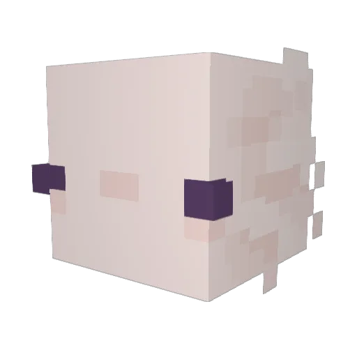 nyeema Minecraft avatar head, 3D render