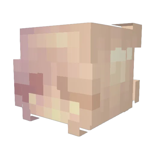 nyeets Minecraft avatar head, 3D render