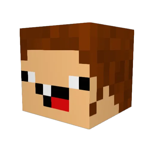 nygusek2003 Minecraft avatar head, 3D render