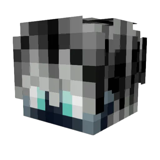 nyguski Minecraft avatar head, 3D render