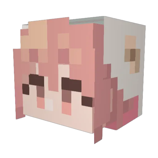 nykw Minecraft avatar head, 3D render