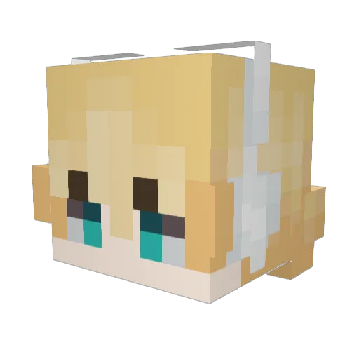 nymo642 Minecraft avatar head, 3D render