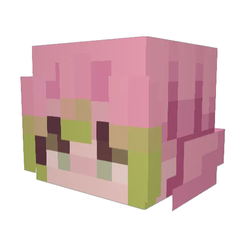 nymph1a_ Minecraft avatar head, 3D render
