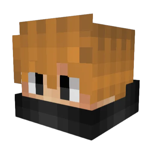 nynepoint Minecraft avatar head, 3D render
