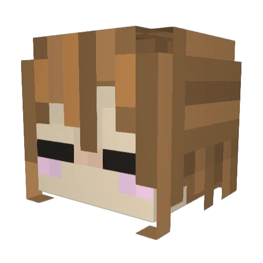 nyon7334 Minecraft avatar head, 3D render