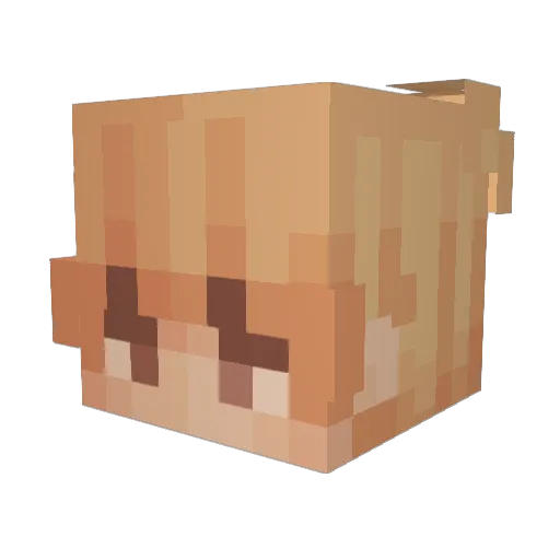 nyphie Minecraft avatar head, 3D render