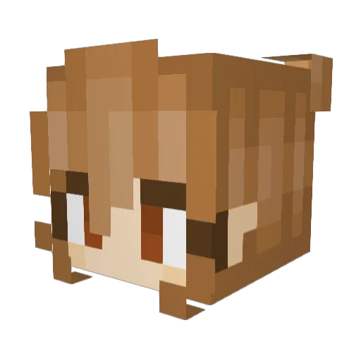 nyswc Minecraft avatar head, 3D render