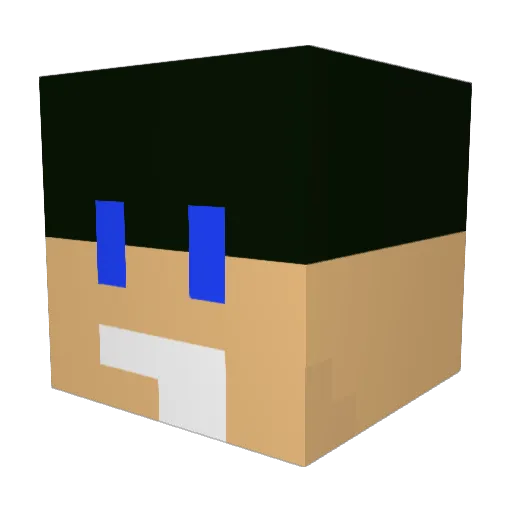 nyt1015 Minecraft avatar head, 3D render