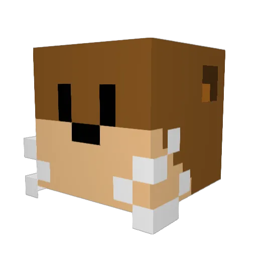 nyteguard Minecraft avatar head, 3D render