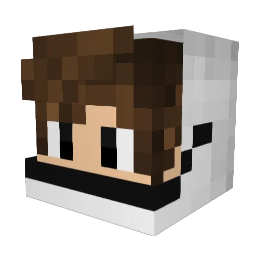 nytich Minecraft avatar head, 3D render